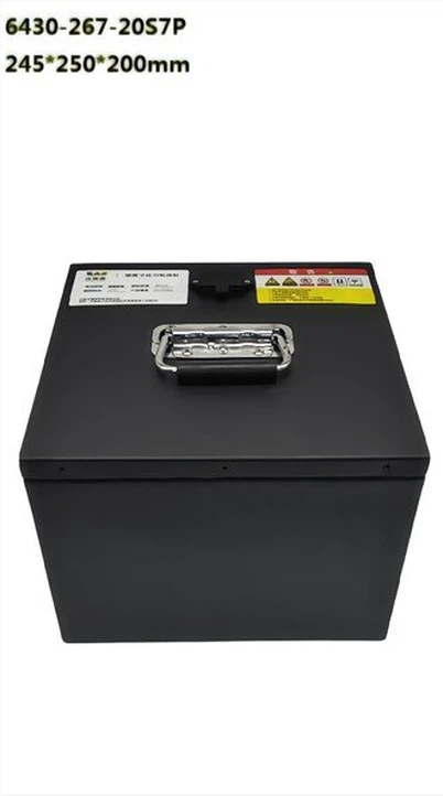 64V 30Ah LiFePo4 Battery for Electric Sightseeing Vehicle